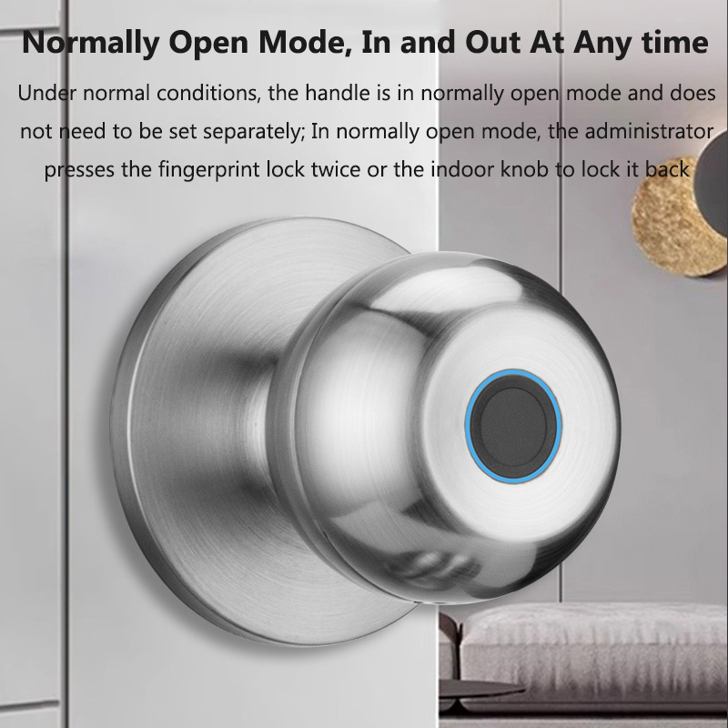 Kunci Pintu Tuya Kunci Sidik J - Smart Home Door Lock ulasan dan harga