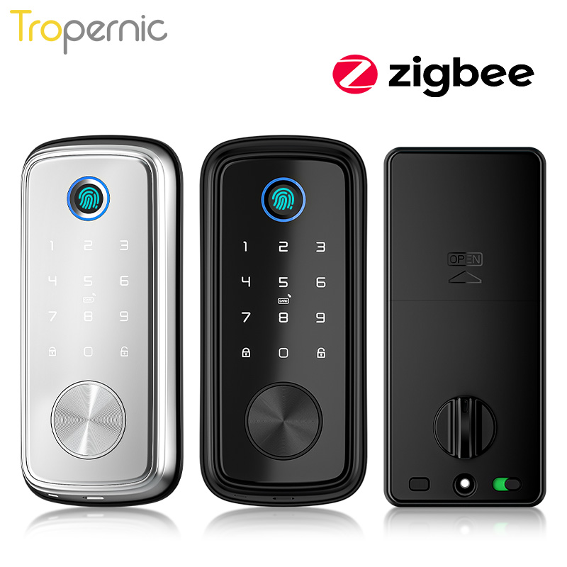 Zigbee Tuya kunci gerendel pin - Smart Home Door Lock ulasan dan harga